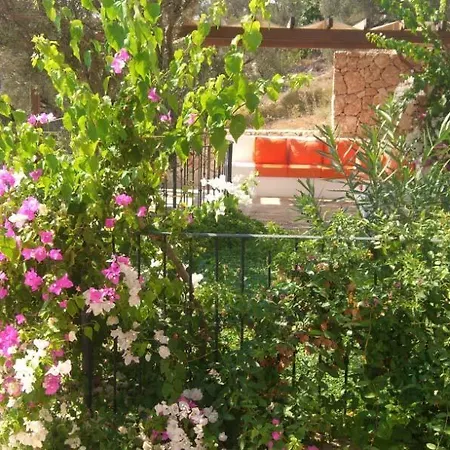 Villa Vanilla *